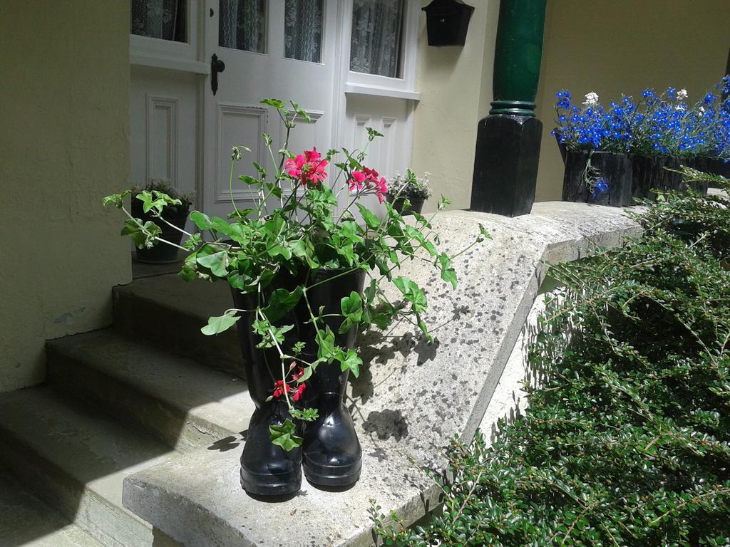 바이드포드 Westleigh House Farm B&B 객실 사진