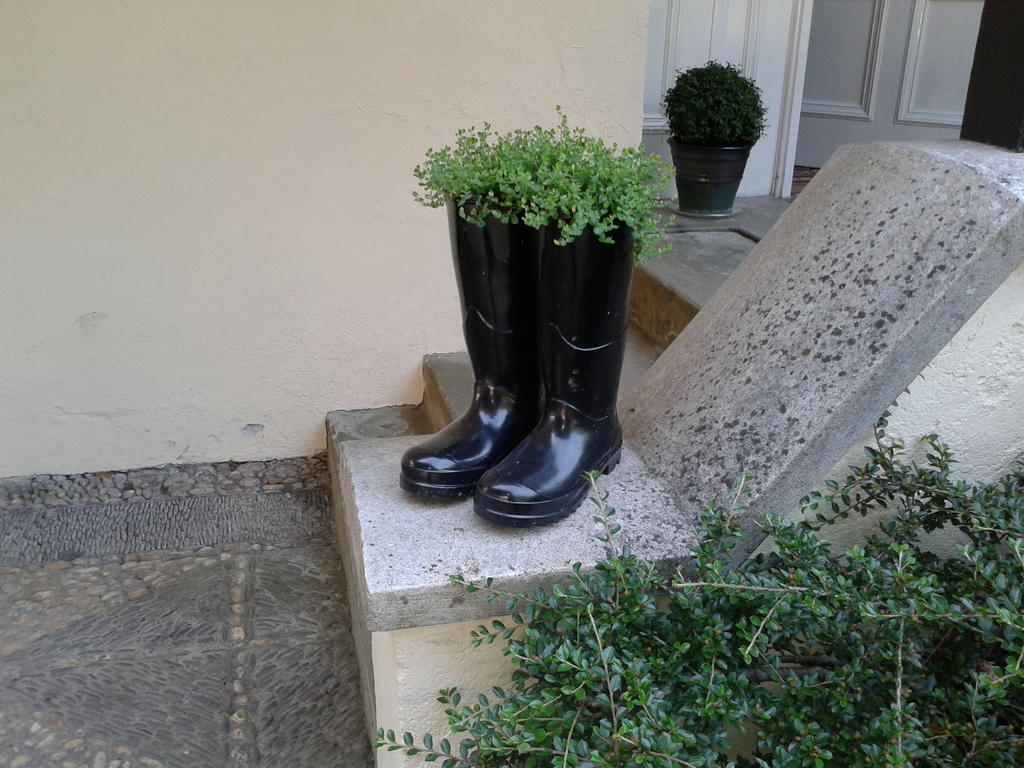 바이드포드 Westleigh House Farm B&B 외부 사진